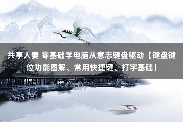 共享人妻 零基础学电脑从意志键盘驱动【键盘键位功能图解、常用快捷键、打字基础】